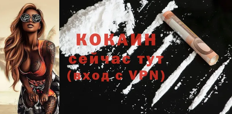 Cocaine Fish Scale  Гвардейск 